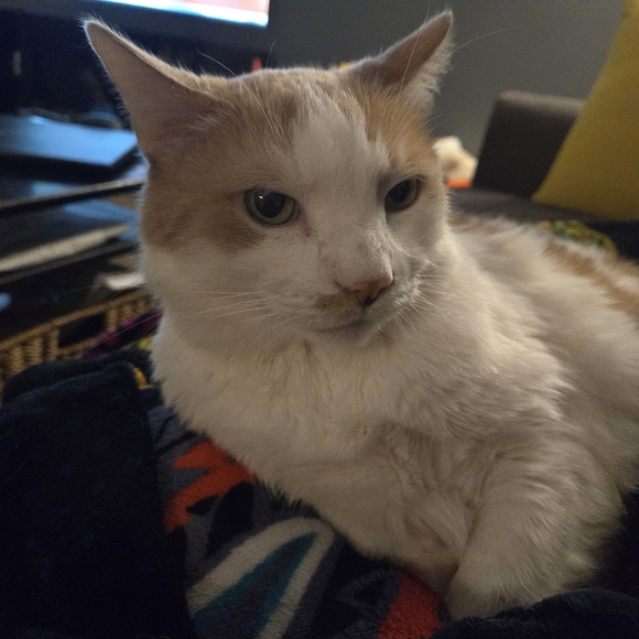 Meet your Posher, Brooke - Picture 9 of 9